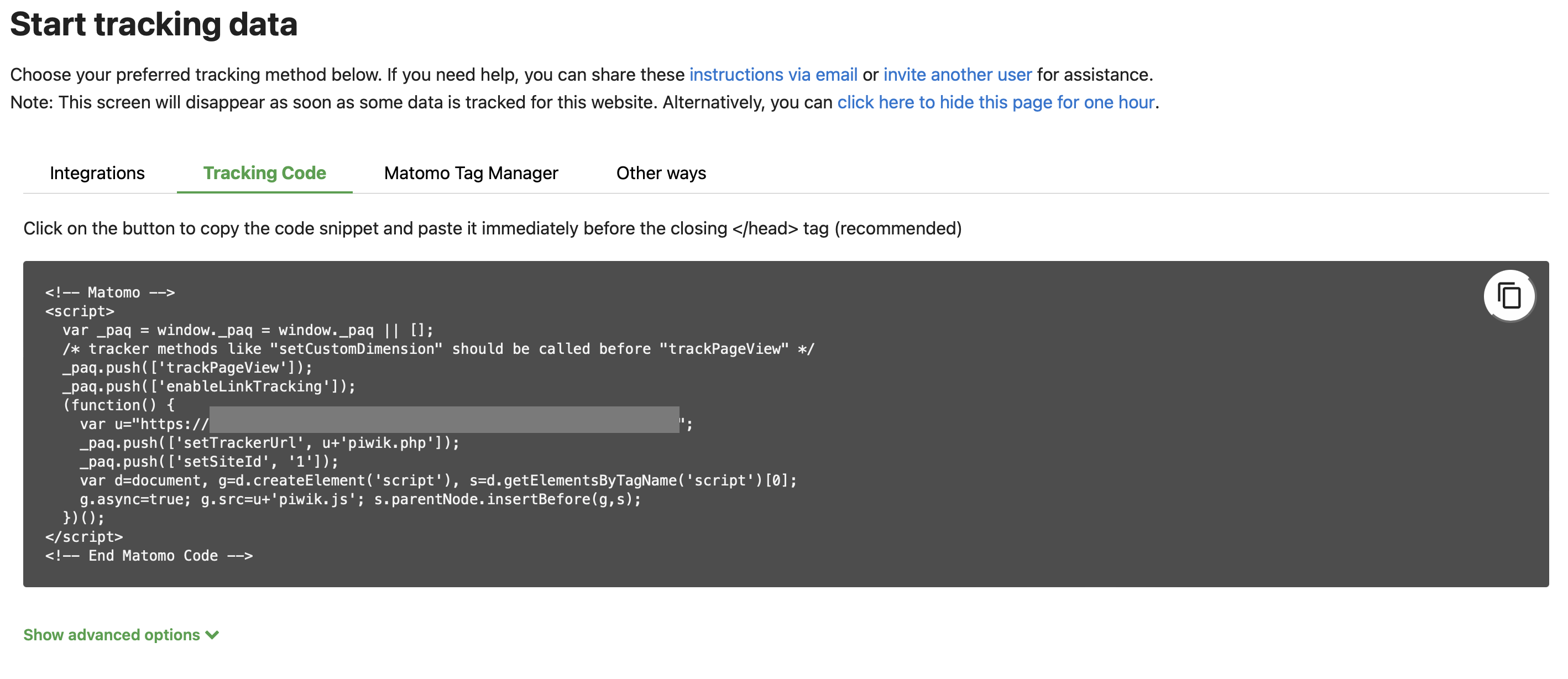 Matomo tracking code from its interface