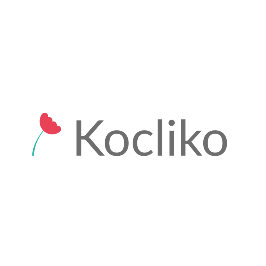 programme startup up