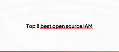 Banner of blog article: '8 open source IAM solutions to structure access management'
